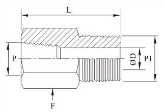 Adapter NPT To NPT Female X Male